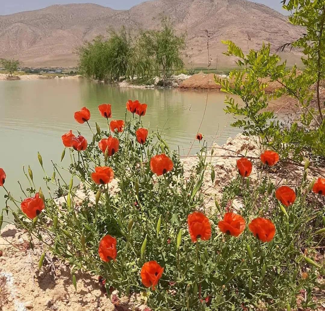 دهکده گردشگری شالیزار،مکانی برای آرامش